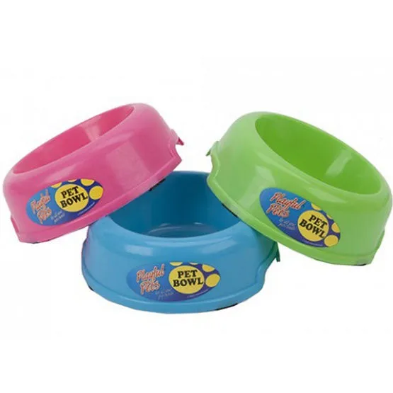 Cat Bowl Assorted Neon Colours