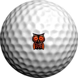 NEON Orange Hootie