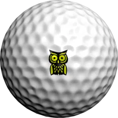 NEON Yellow Hootie