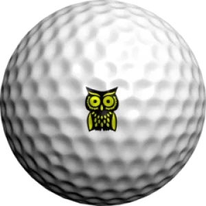 NEON Yellow Hootie