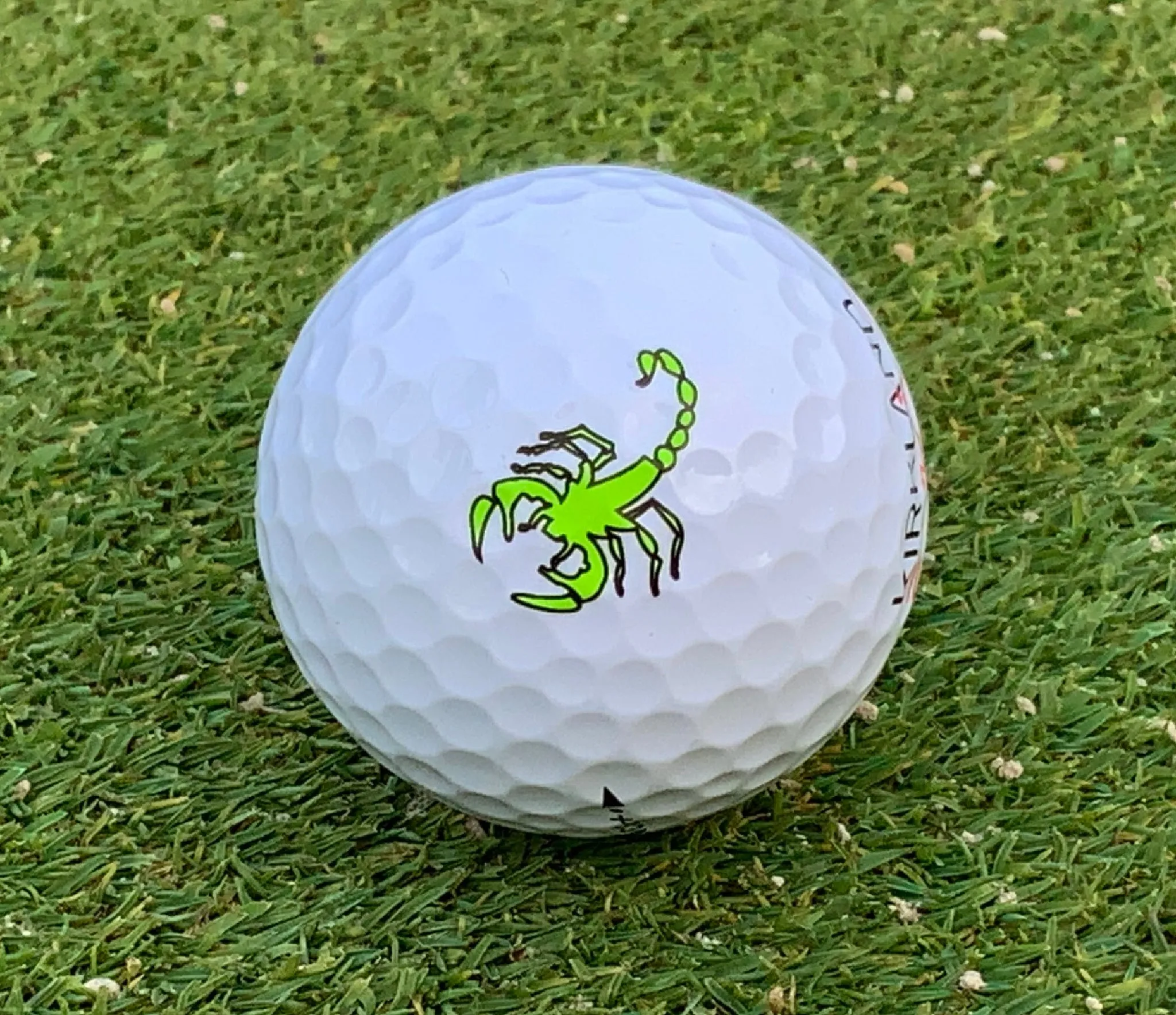Scorpion Radioactive